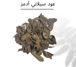 عود سيلاني أدمز