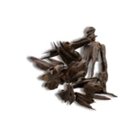 عود سيوفي دبل سوبر – من غابات ناجالاند الفاخرة