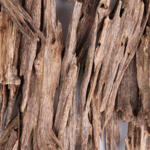 عود سيوفي دبل سوبر – من غابات ناجالاند الفاخرة - الصورة 8